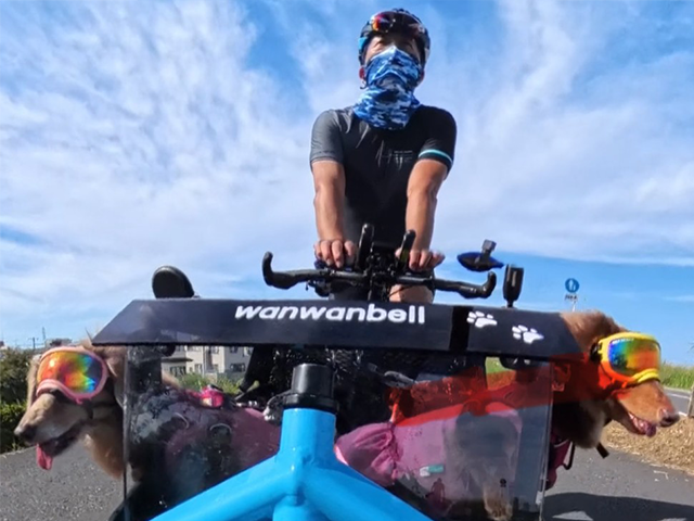 ワンワンベル隊の写真